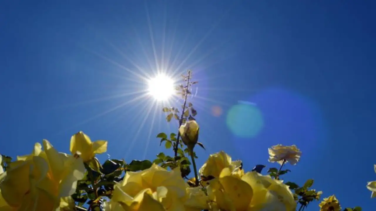 توقعات خرائط الطقس.. تقلبات جوية مرتقبة تؤثر على محافظات الأردن خلال أيام